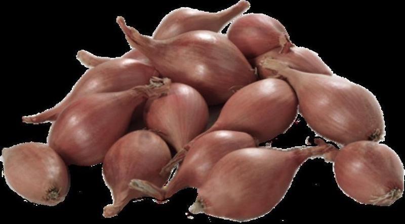 YERLİ ARPACIK SOĞAN 4 NUMARA (1 KG)