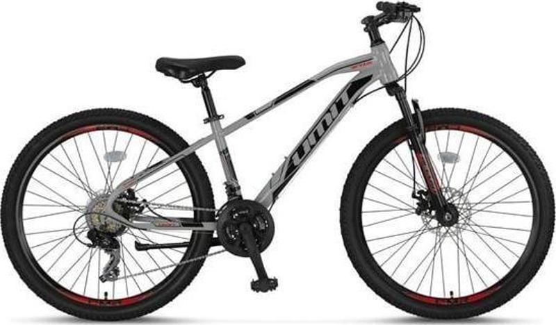 2413 ARCUS ERKEK DAĞ BİSİKLETİ MD 24 JANT 331CM 21 VİTES NARDO GRİ KIRMIZI