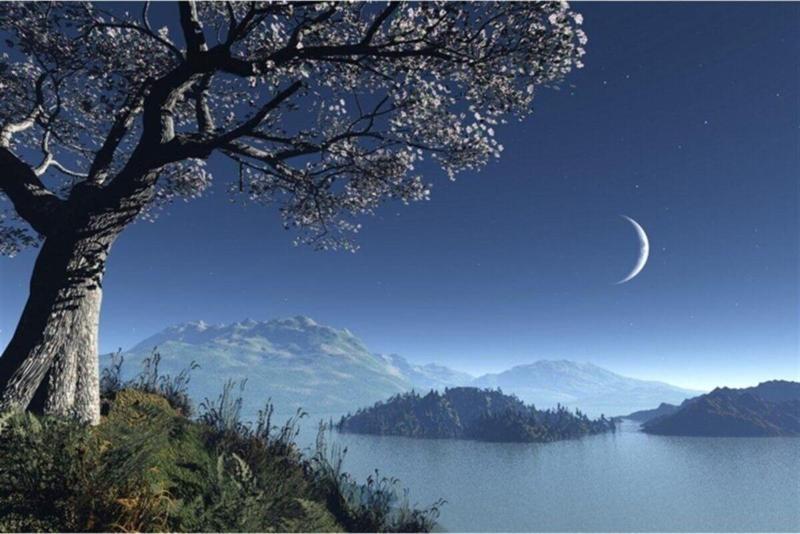 Hilal Ve Sakura Ağacı Kanvas Tablo