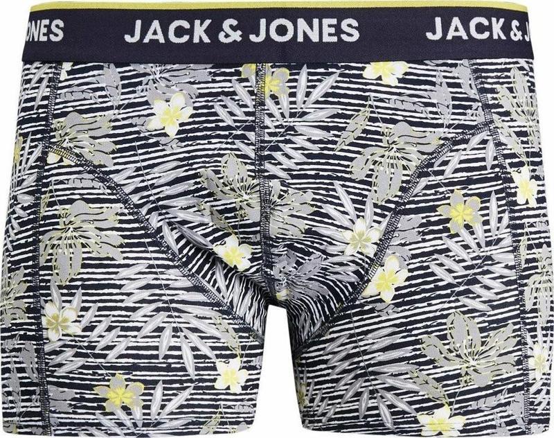 Jack Jones Trıp Erkek Boxer 12179737