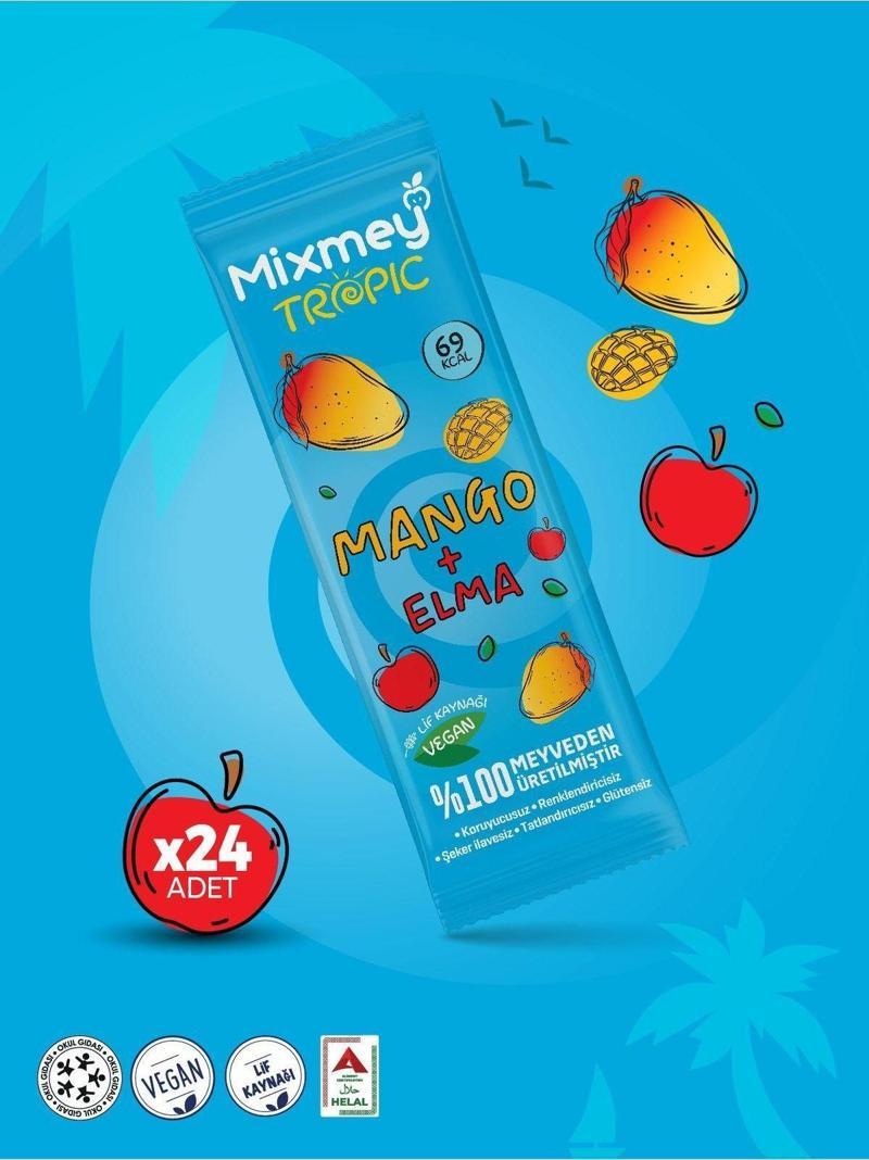 Mango Meyve Bar 24 Adet | Doğal Ve Glutensiz Sağlıklı Atıştırmalık - 20gr X 24 Adet