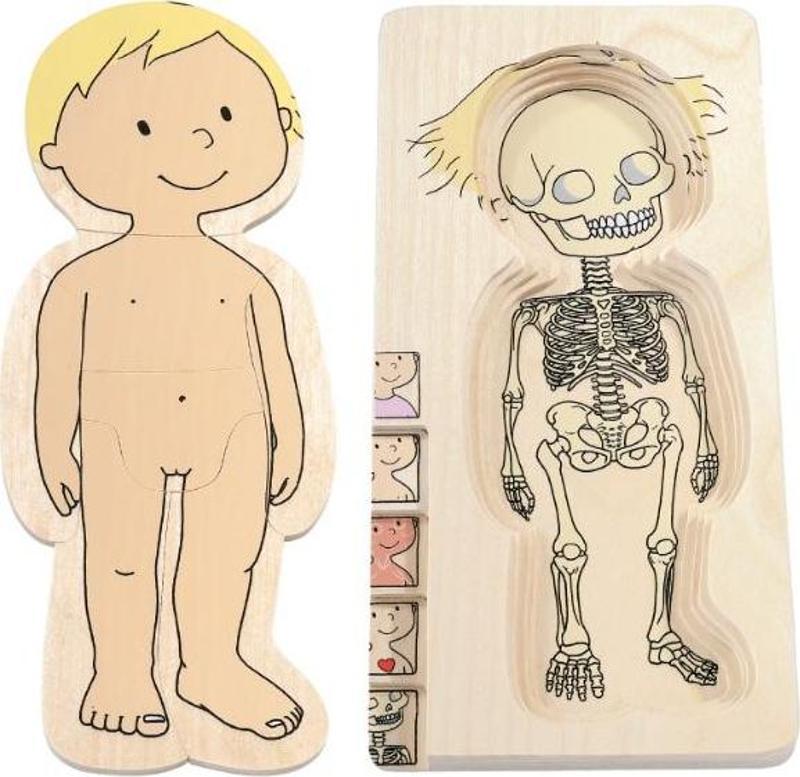 İnsan Anatomisi Puzzle - Kız