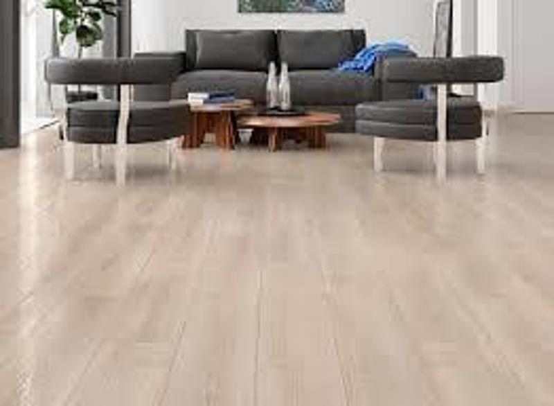 SOFT MEŞE  (32.SINIF  1.84 M2 ) PLATİNİUM