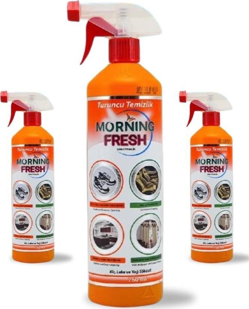 Proson Morning Fresh Lok-tem Turuncu Temizlik 750 ml x 3 Adet