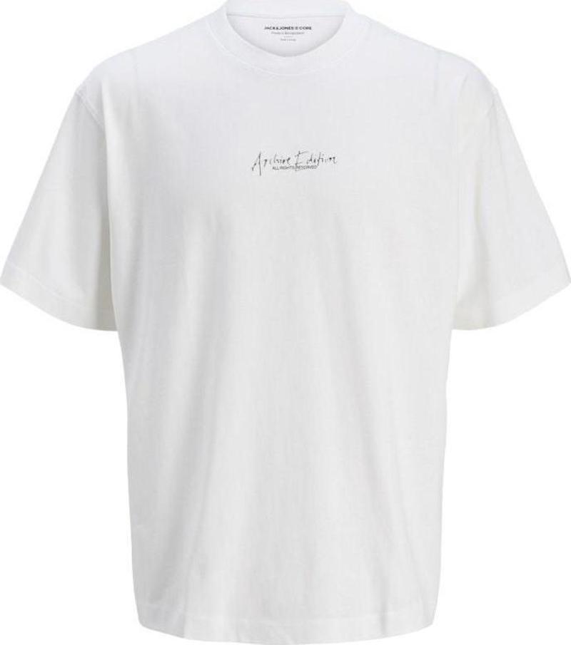 Jack Jones Chrore Sılver Prınt Oversıze Erkek Tişört 12273211