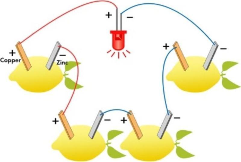 Limon Deney Seti Limondan Elektrik Üretimi Yapım Seti Limon Pili