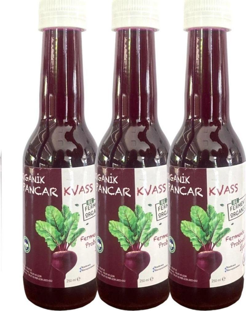 Organik Pancar Kvass Sade 250 Ml * 3 Adet