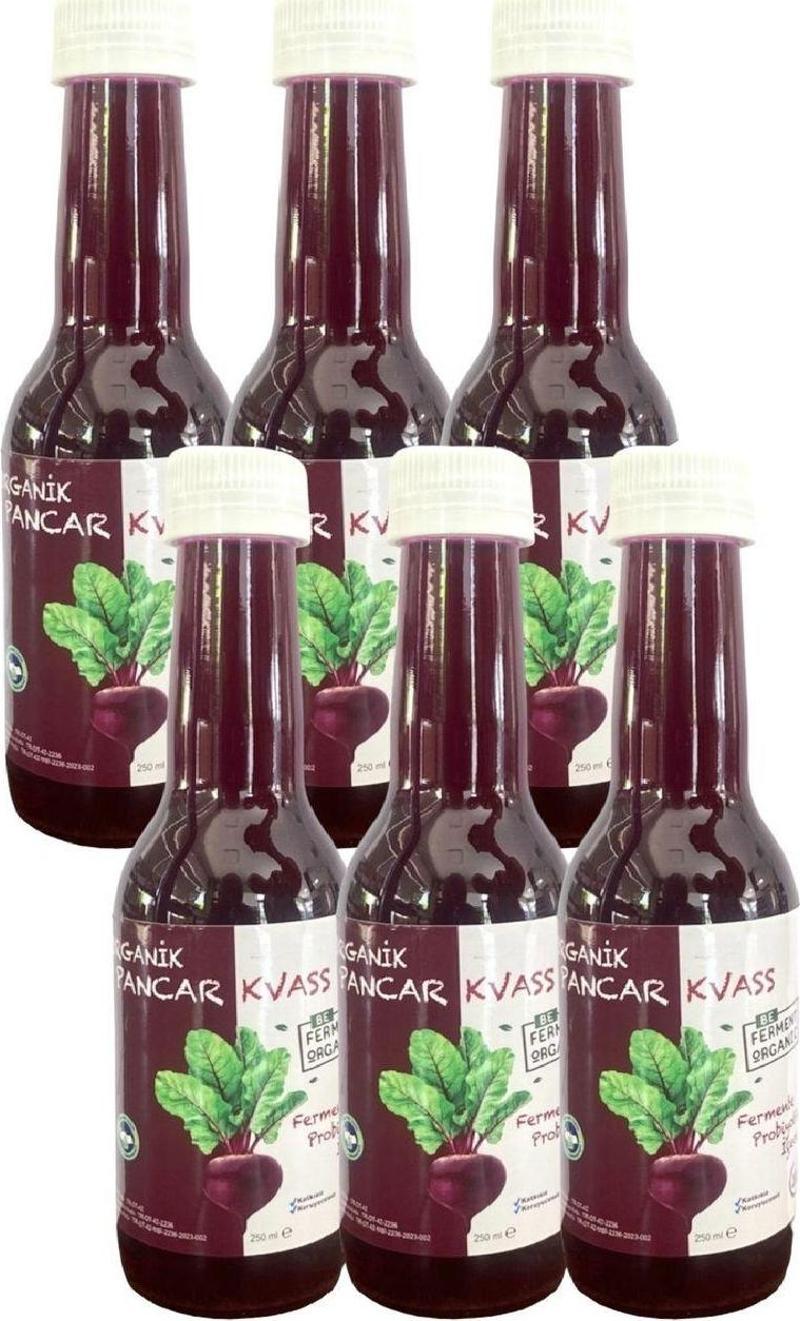 Organik Pancar Kvass Sade 250 Ml X 6 Adet