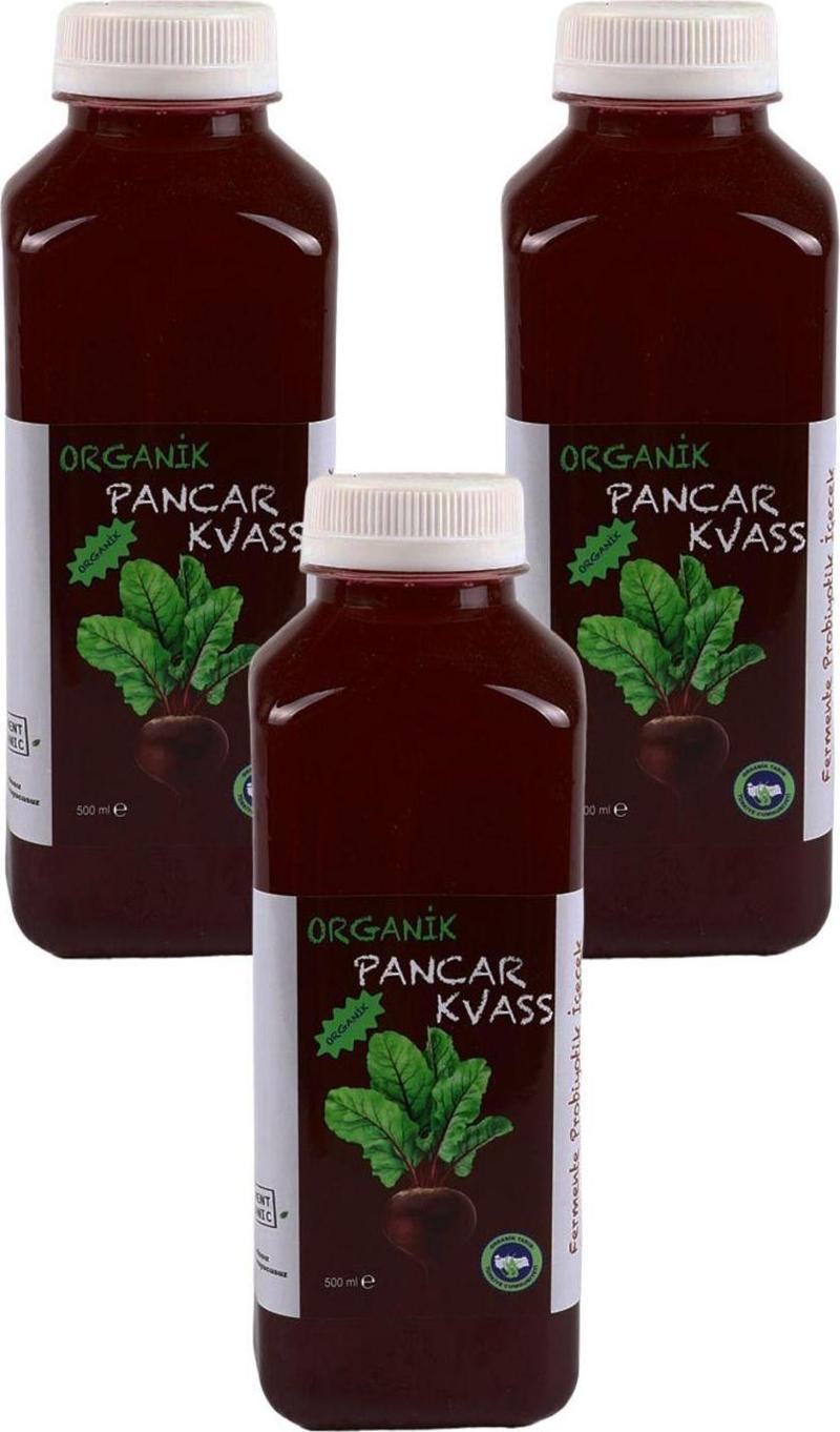 Organik Pancar Kvass Sade 500 Ml X 3 Adet