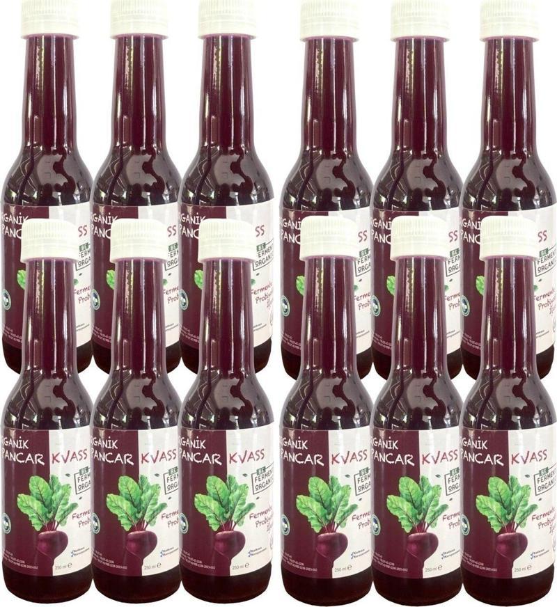 Organik Pancar Organik Kvass Sade 250 Ml * 12 Adet