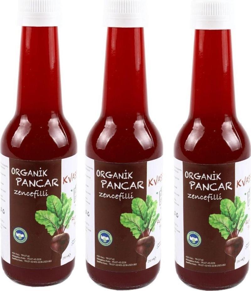 Organik Zencefilli Pancar Kvass 250 Ml 3 Adet