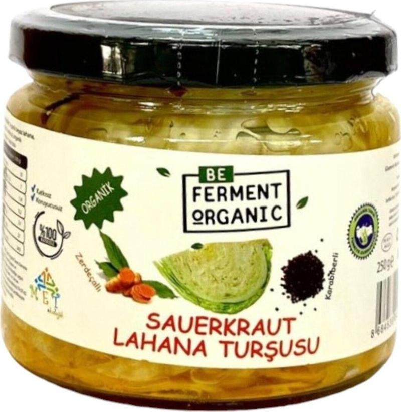 Organik Zerdeçallı Saurkraut Lahana Turşusu 250 G