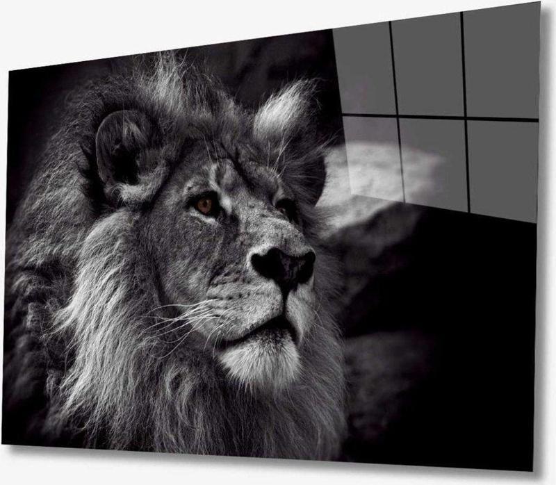 Aslan Hayvan Cam Tablo 4Mm Dayanıklı Temperli Cam