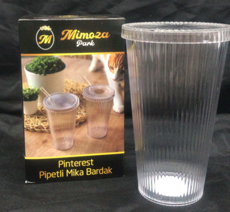 Pinterest Pipetli Mika Bardak (Cam Pipet Hediyeli)