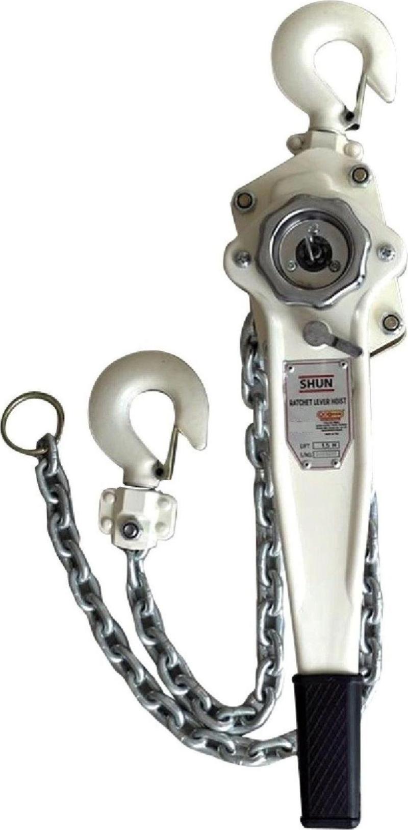 Hubzug Zincirli Çektirme Vinç 6 Ton 1,5 M