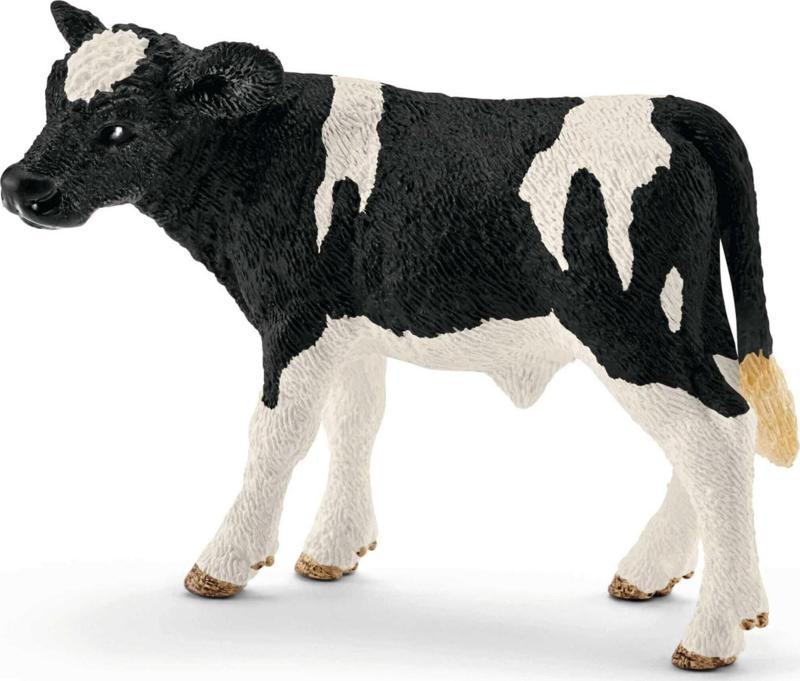 13798 Holstein Buzağı