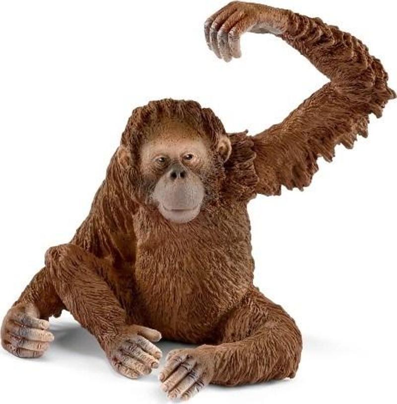 Schleich Hayvan Maketi - Fw Orangután Hembra / Orangutang Female