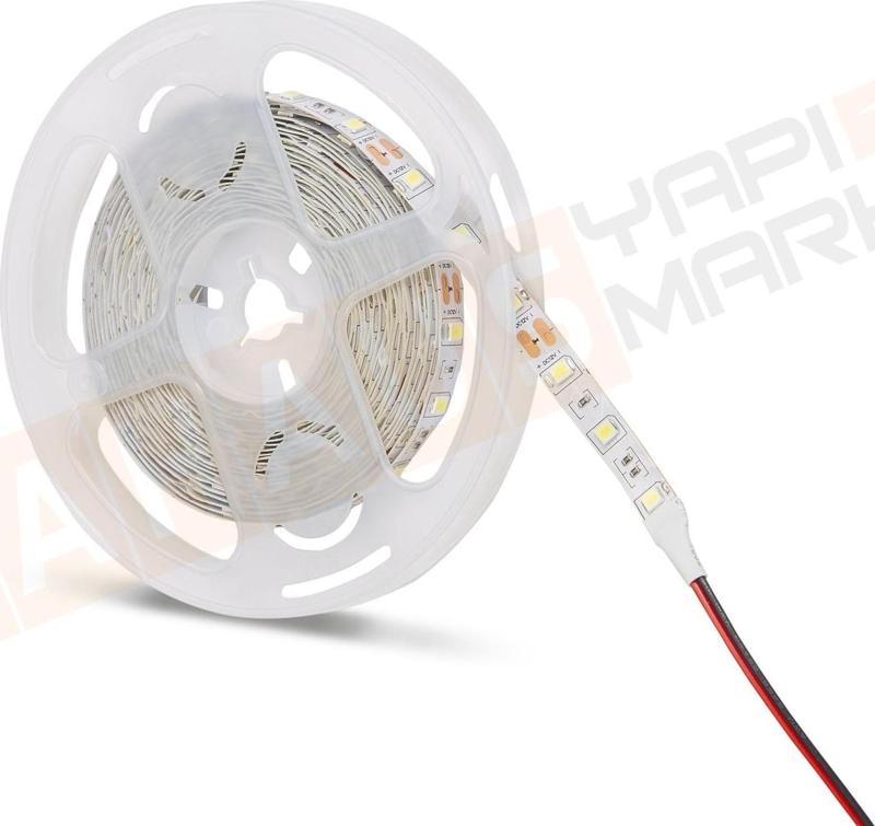 Noas 3200K Gün Işığı 4040 12v İç Mekan Şerit Led YL40 4002