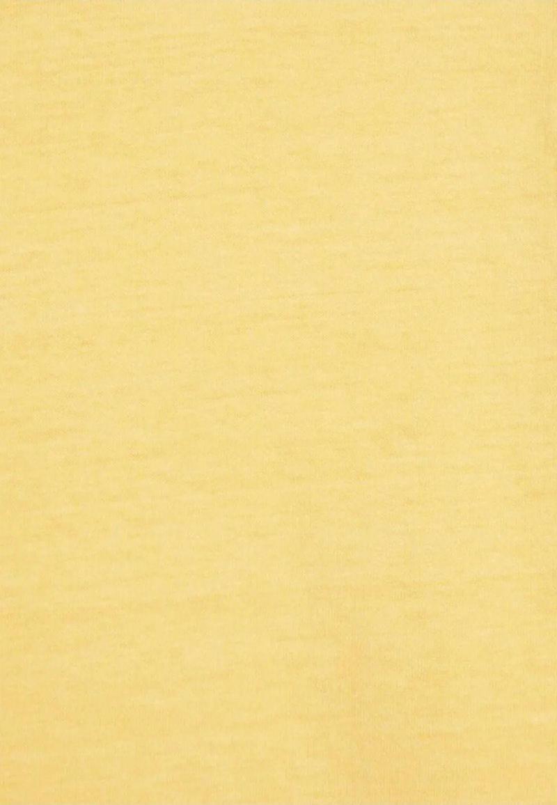 Gold Tab Natural Dye Yellow T-shirt  Relaxed Fit