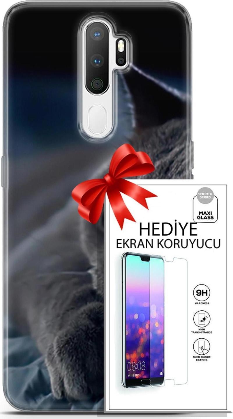 Oppo A5 2020 Kılıf Orijinal Seri Scotish-British 20 Yatan Kedi Renkli Kılıf Ekran Koruyucu