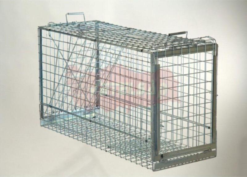 Köpek Yakalama Tuzağı Kapanı
