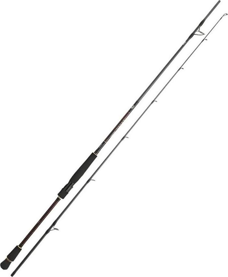 Infeet Seabass 244 cm 14-42 gr Spin Kamış