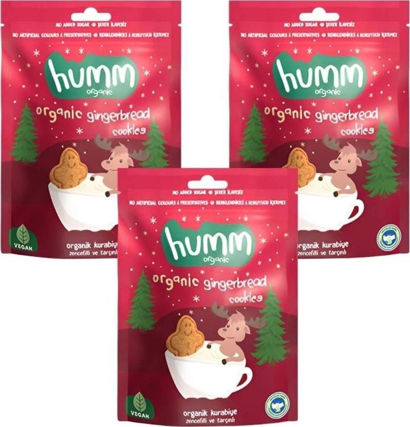 Organik Tarçınlı Zencefilli Kurabiye 3 X 55 Gr