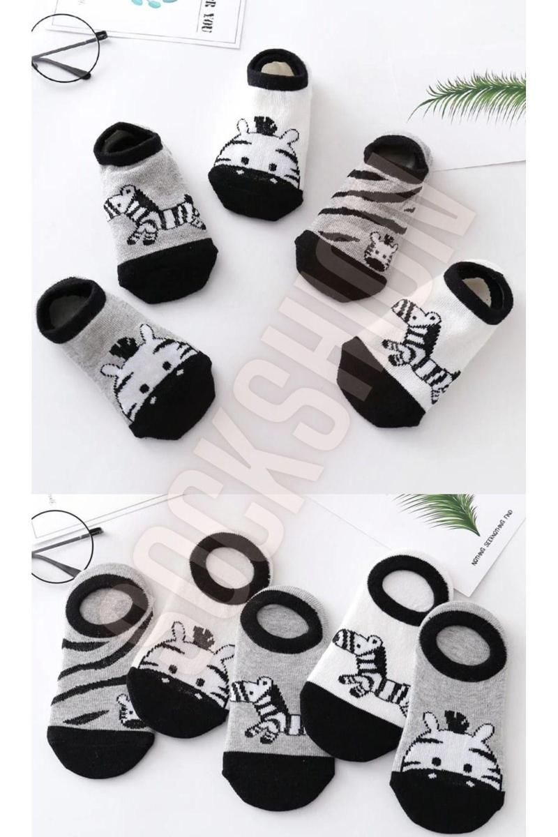 Çocuk Zebra Desenli Renkli Patik Çorap Seti 5'Li Paket