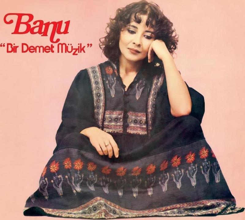 Banu - Bir Demet Müzik (Plak)