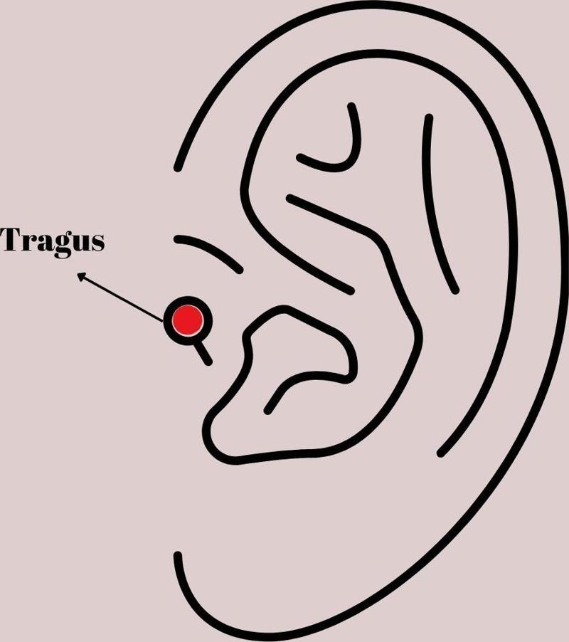 Zarif Kadın için Golden Çelik Zirkonlu Çiçek Stil Tragus Piercing