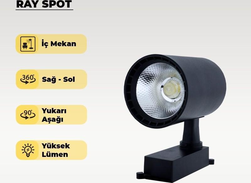 30W Siyah Ray Spot 4000K (Gün Işığı)