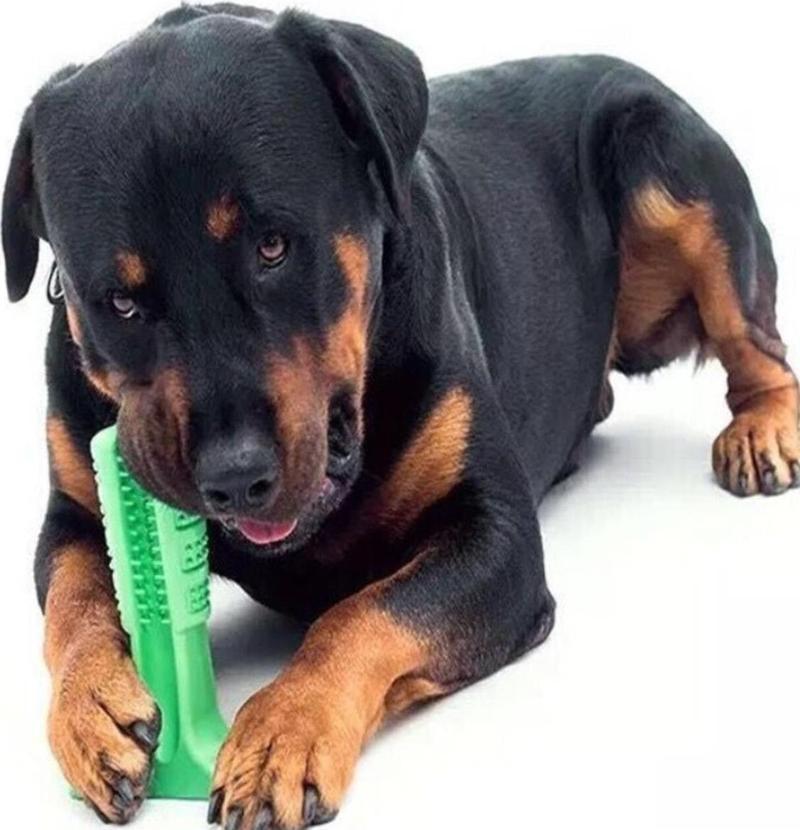 Köpek Diş Fırçası Isırma Aparatı Küçük  Boy, Köpek Dişlik Yeşil