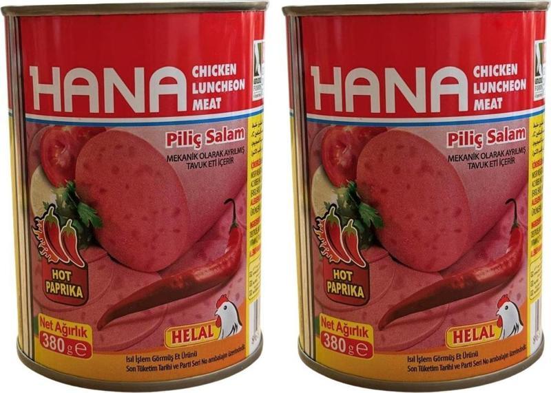 ACILI PİLİÇ SALAM 380 GR X2 ADET
