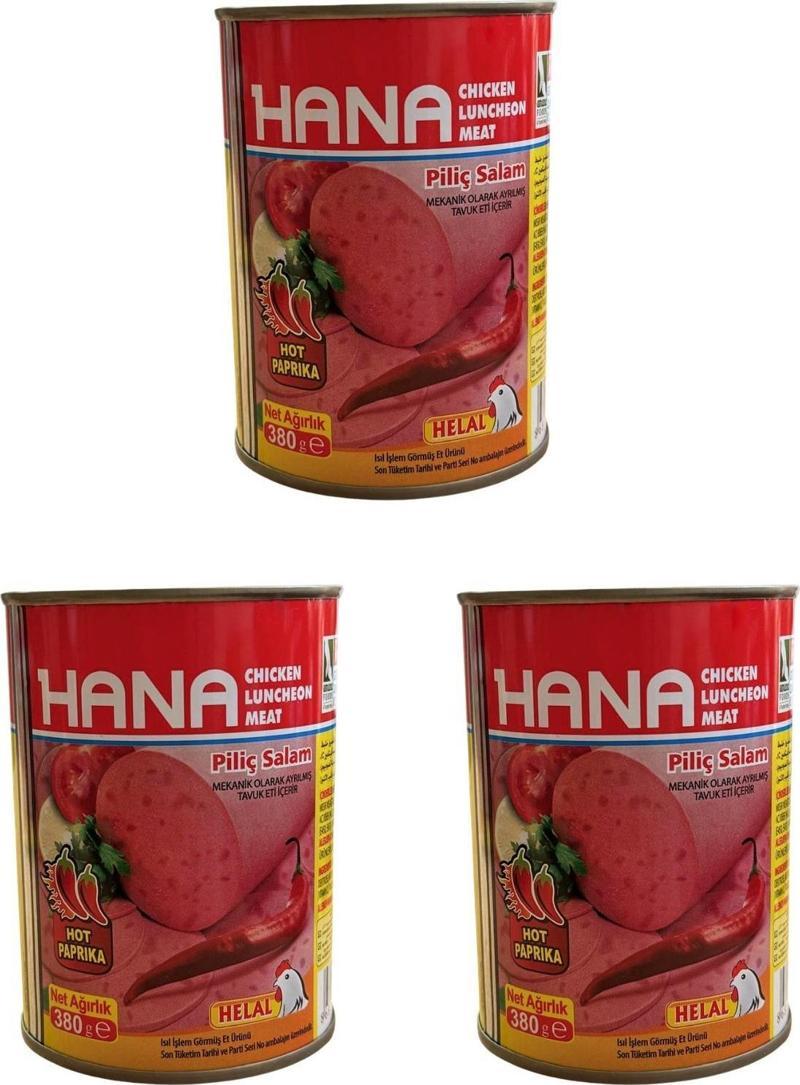 ACILI PİLİÇ SALAM 380 GR X3 ADET