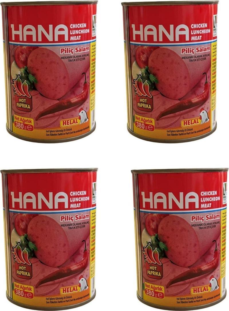 ACILI PİLİÇ SALAM 380 X4 ADET