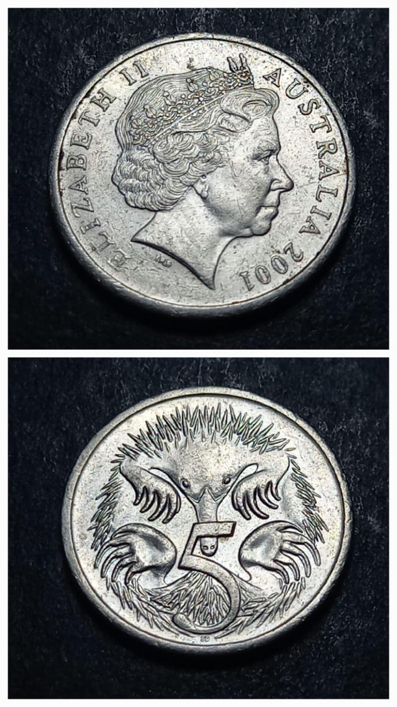 39963680e57cf100ab 2001 Avustralya 5cent Dikenli Karıncayiyenler ÇÇT madeni para