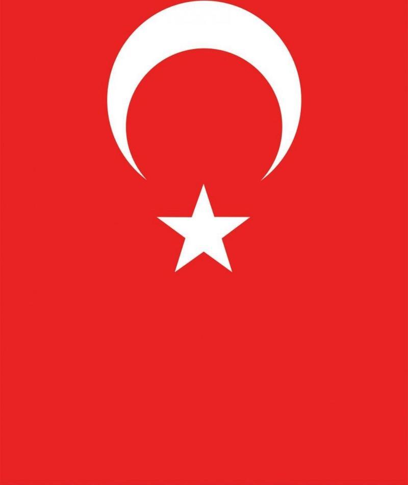 Türk Bayrağı %100 Polyester 30x45