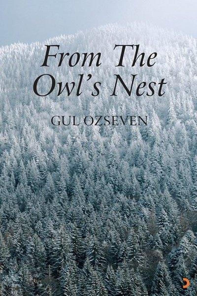 From The Owl's Nest