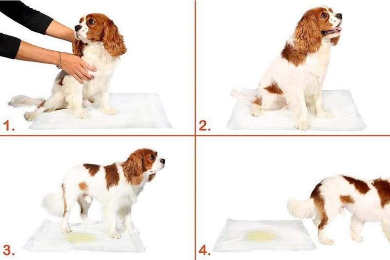30 lu Köpek Tuvalet Eğitim Pedi - Kullan At Çiş Pedi - 90 X 60 Cm (Lisinya)